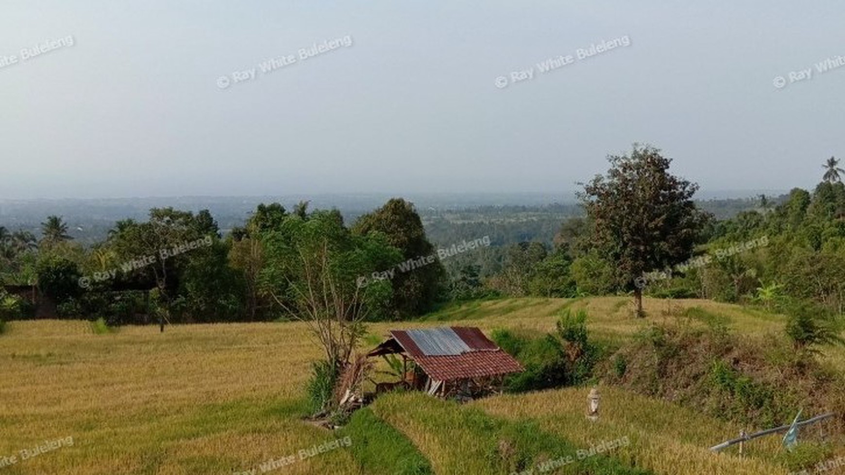 VILLA FOR SALE WITH OCEAN AND RICE FIELD VIEW