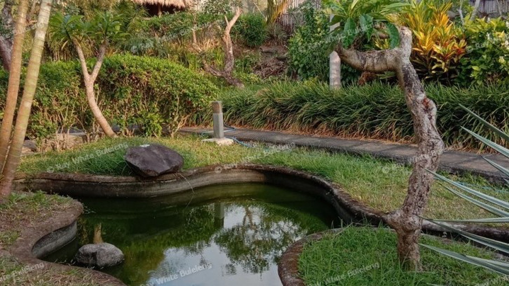 VILLA FOR SALE WITH OCEAN AND RICE FIELD VIEW