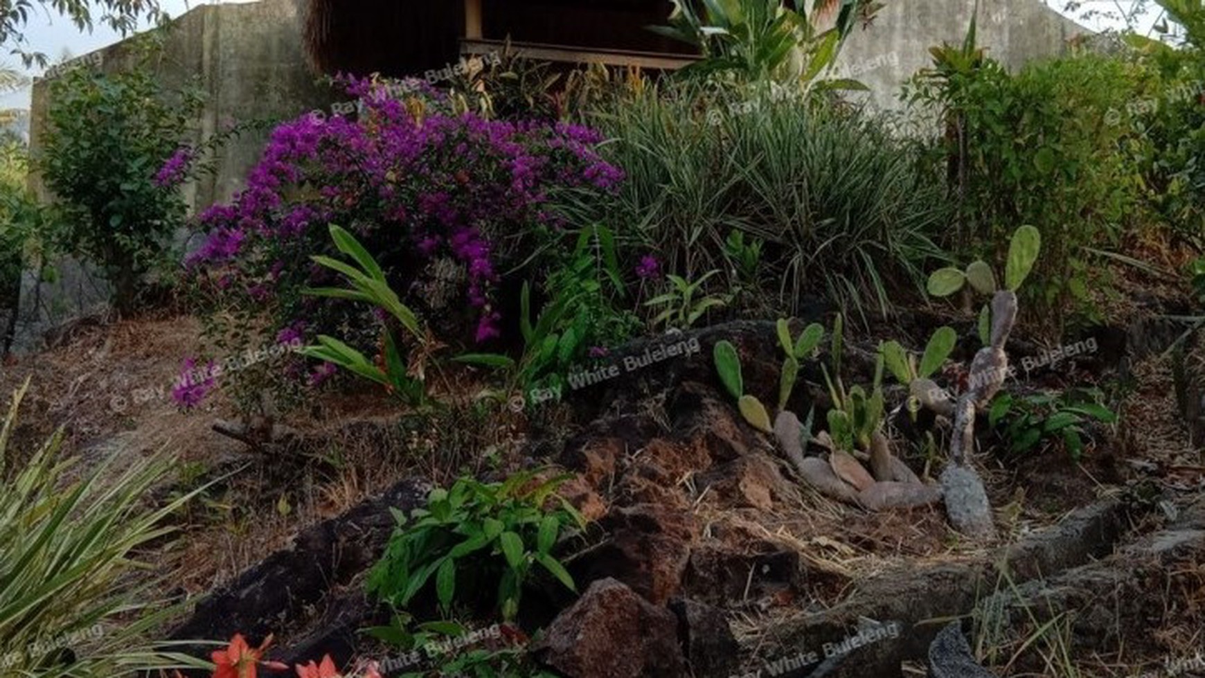 VILLA FOR SALE WITH OCEAN AND RICE FIELD VIEW