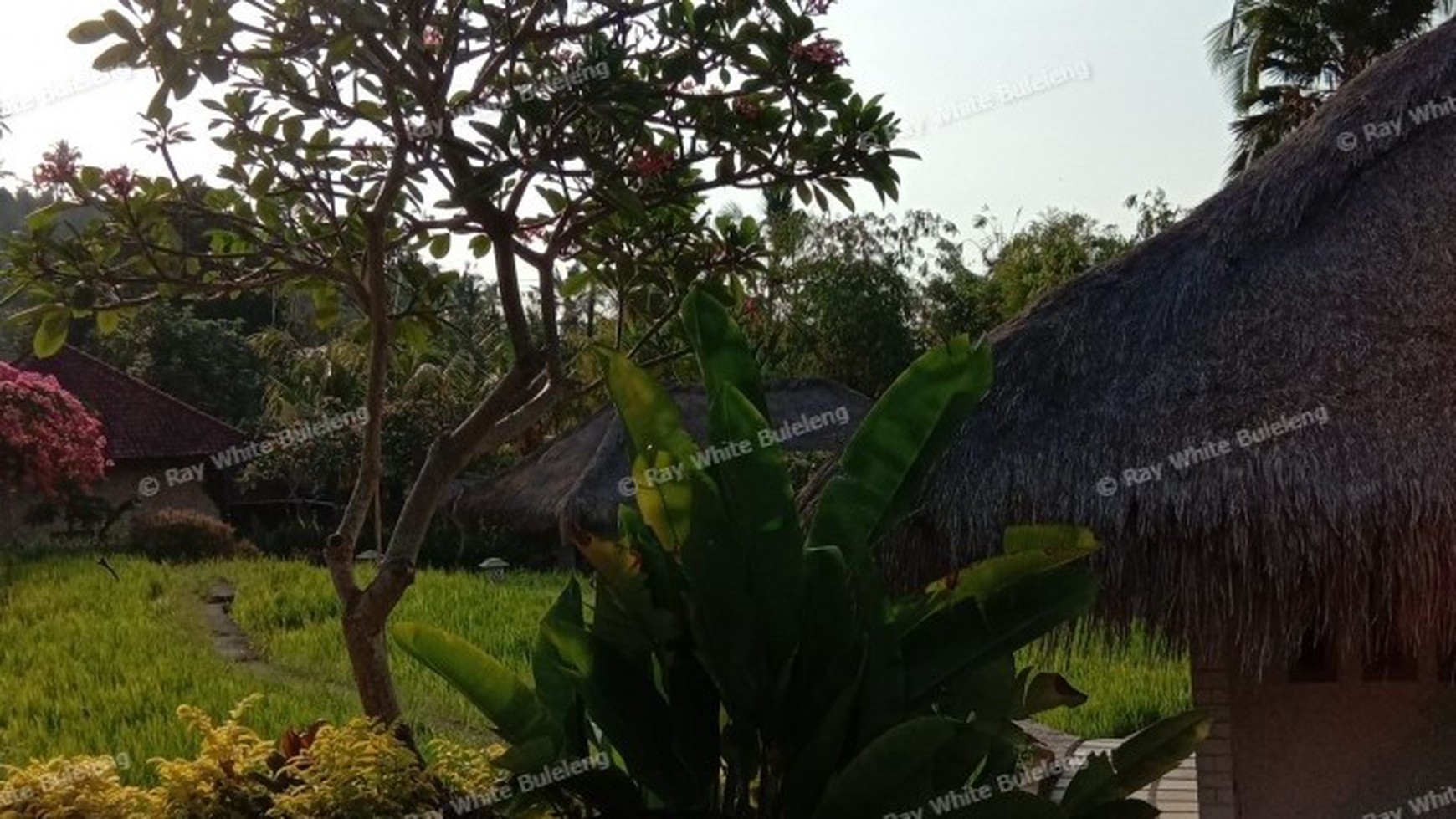 VILLA FOR SALE WITH OCEAN AND RICE FIELD VIEW