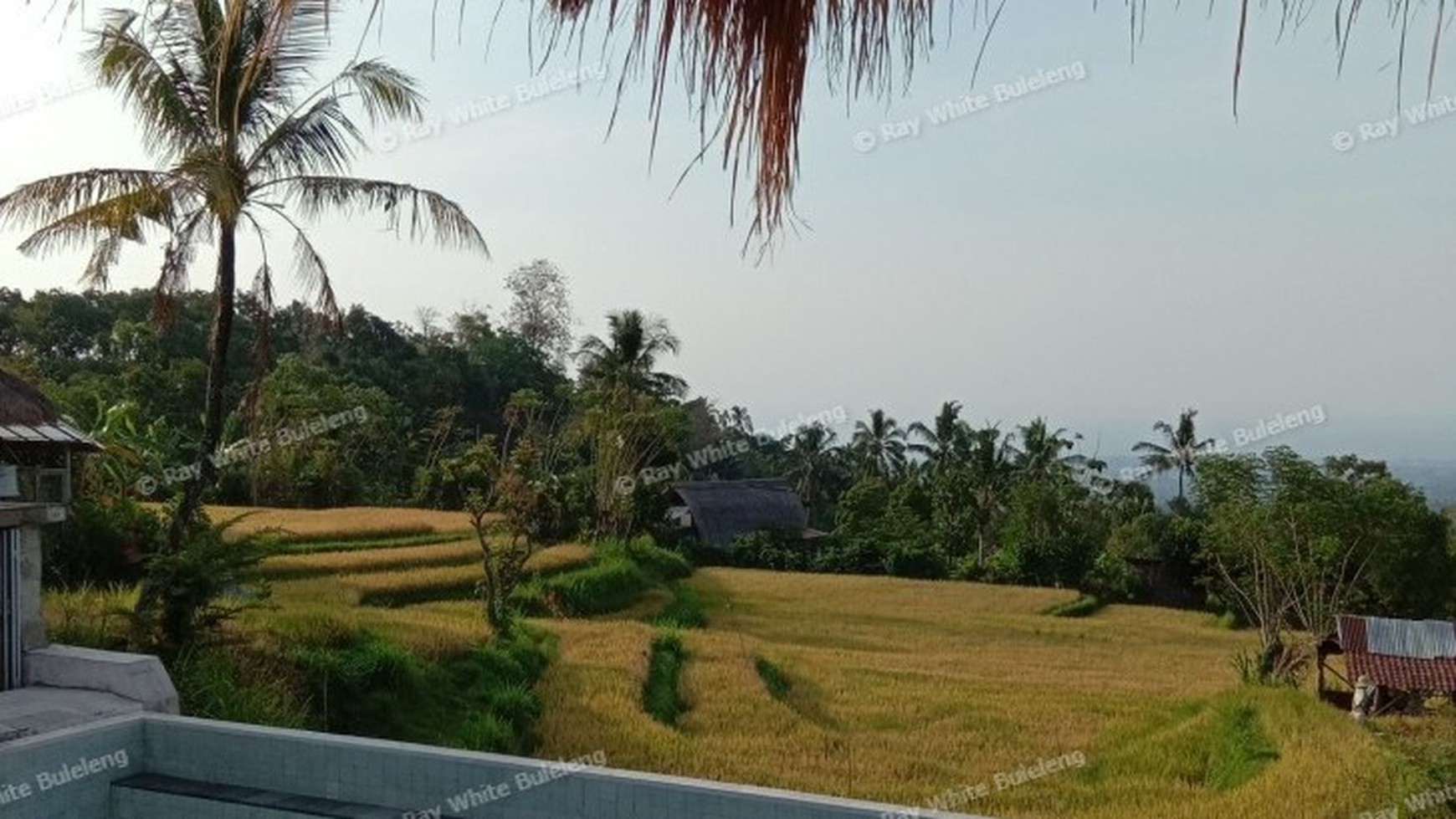 VILLA FOR SALE WITH OCEAN AND RICE FIELD VIEW