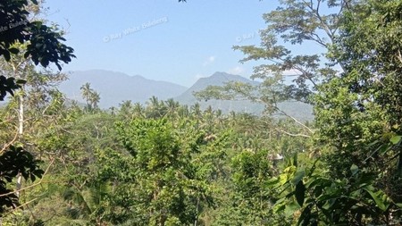 HILL VIEW LAND