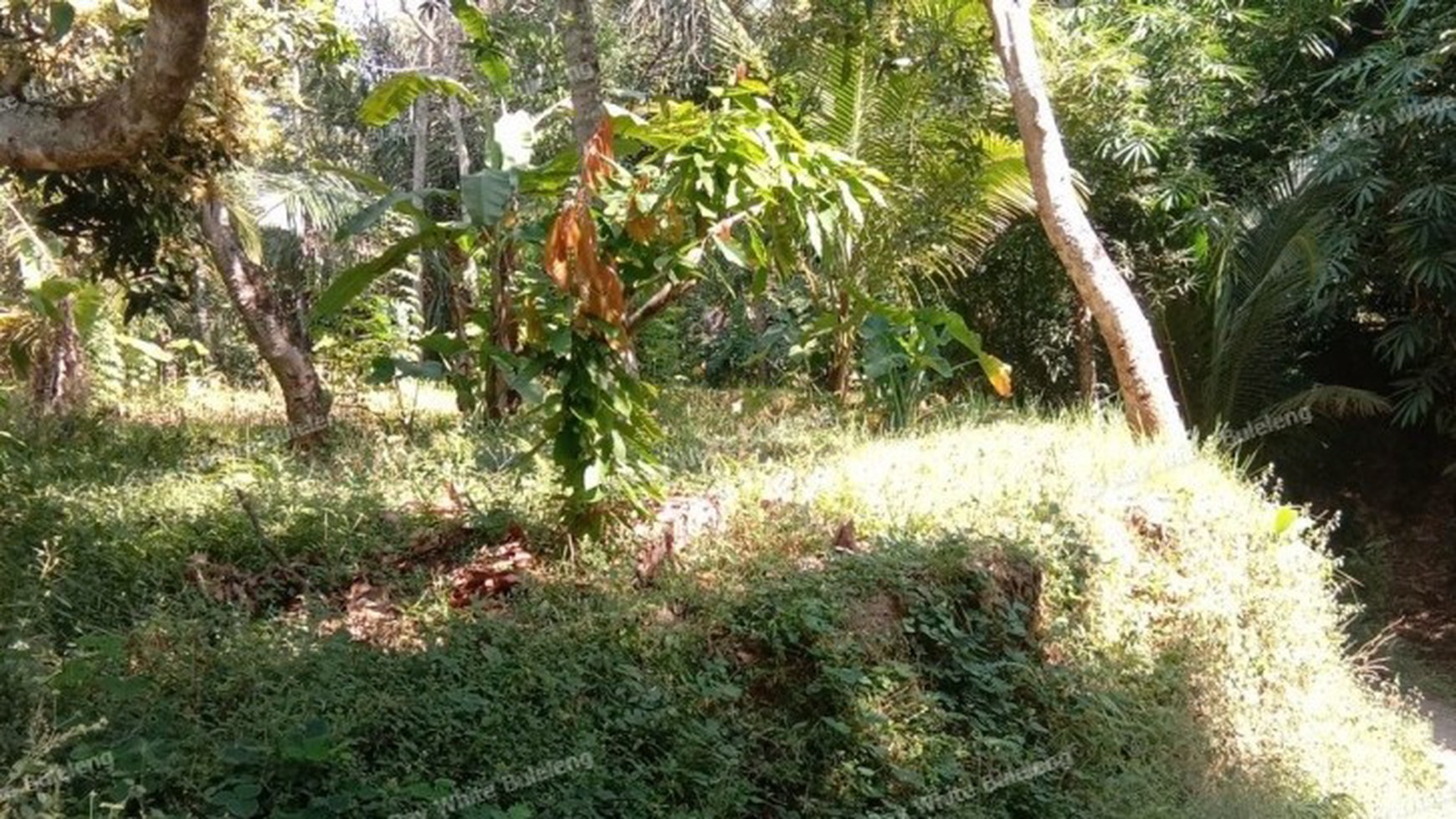 HILL VIEW LAND
