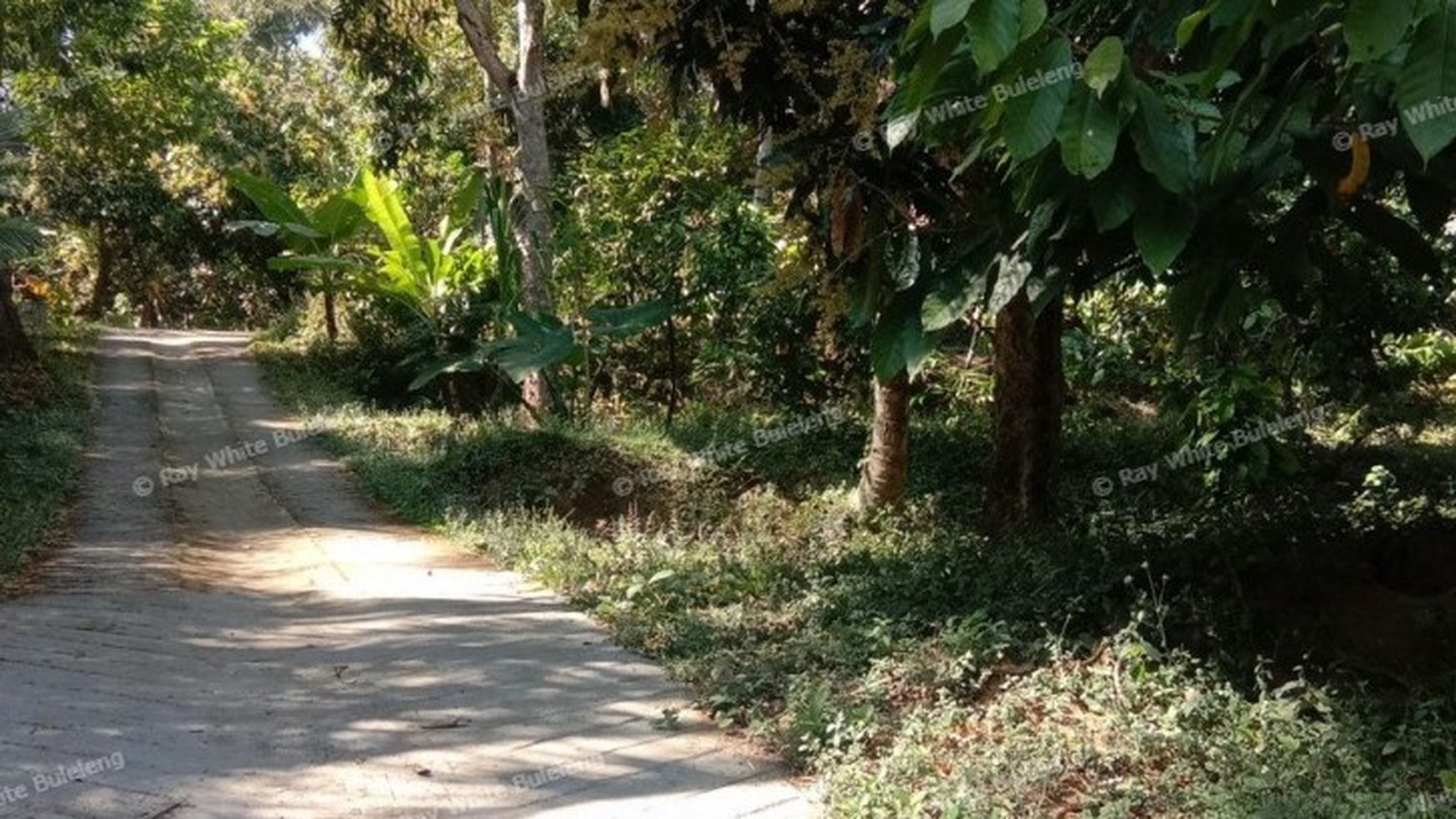 HILL VIEW LAND