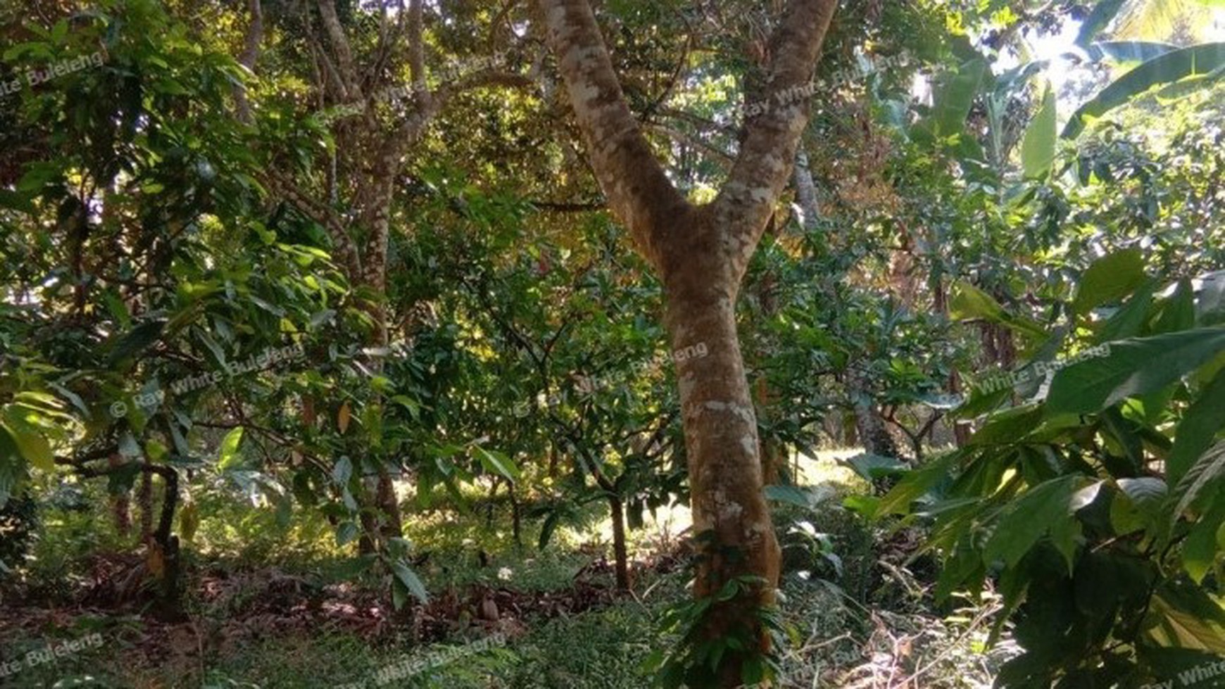 HILL VIEW LAND