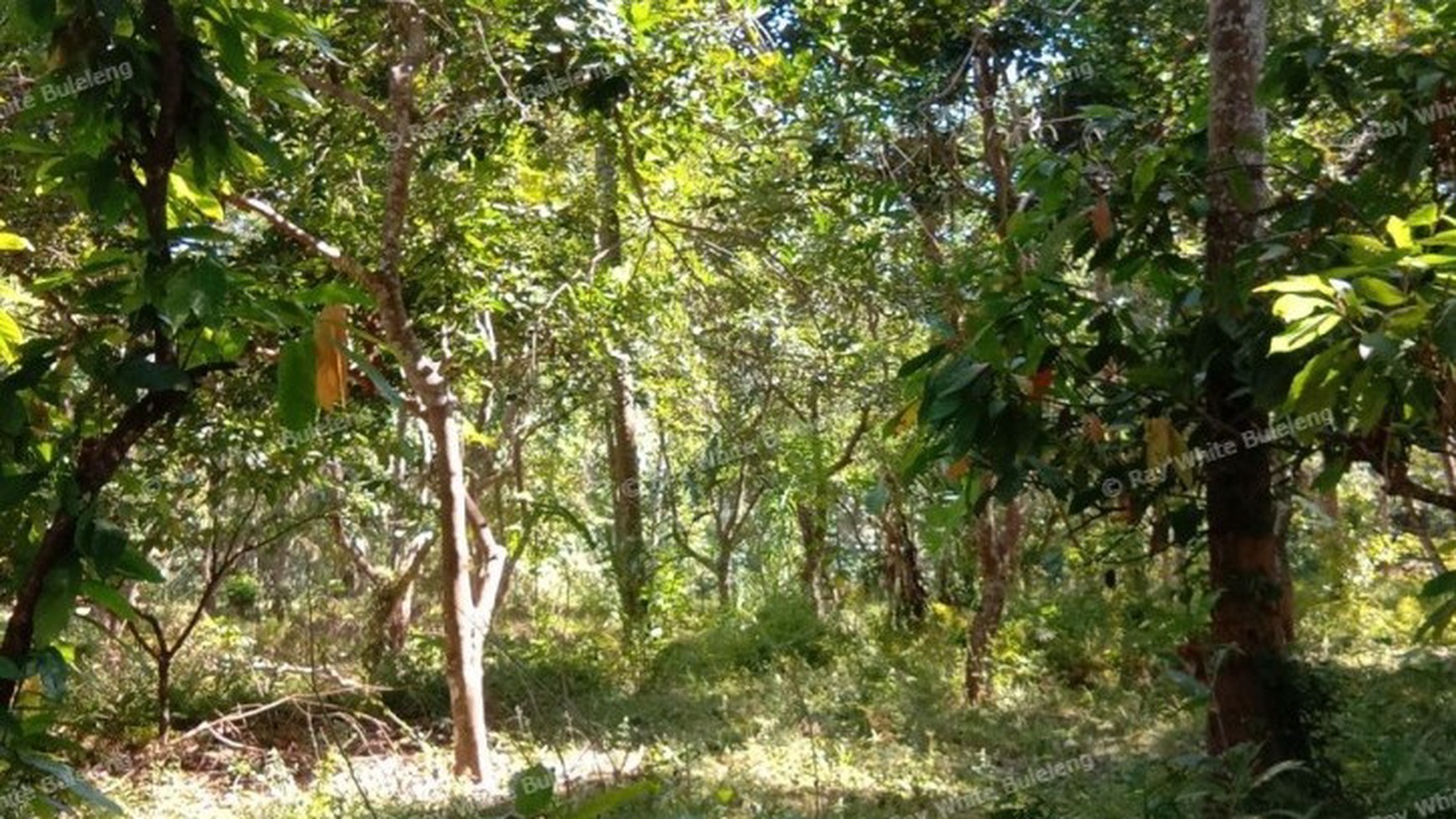 HILL VIEW LAND