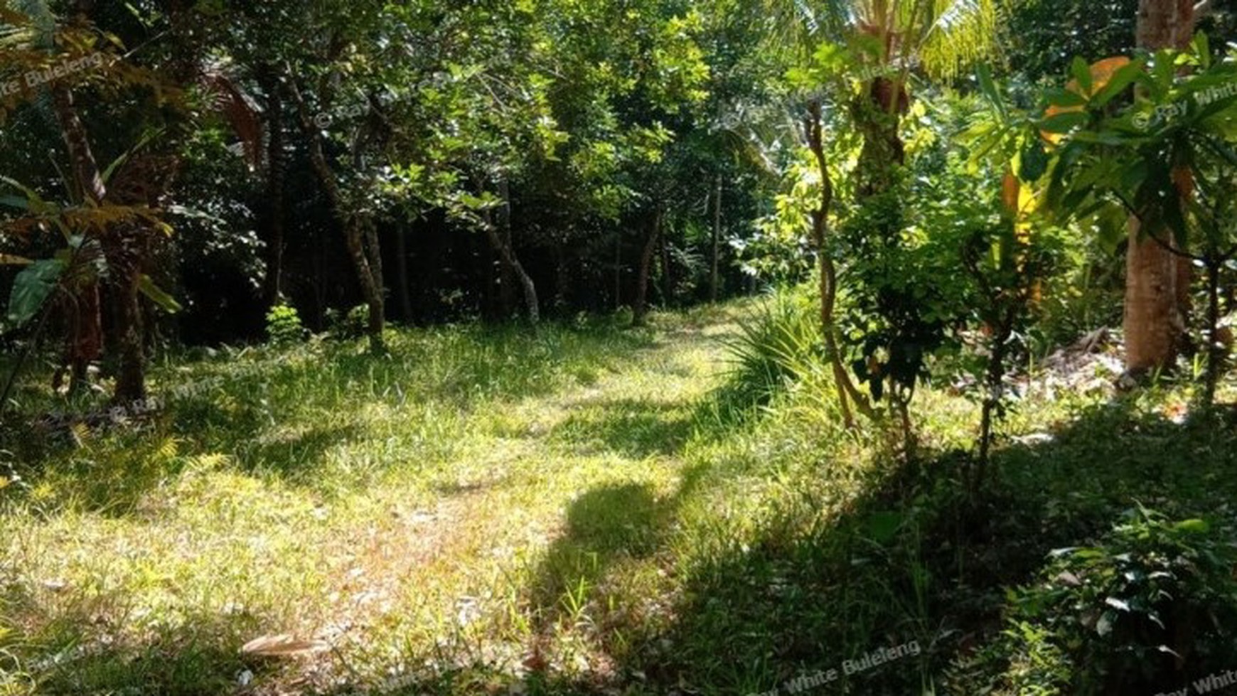 HILL VIEW LAND