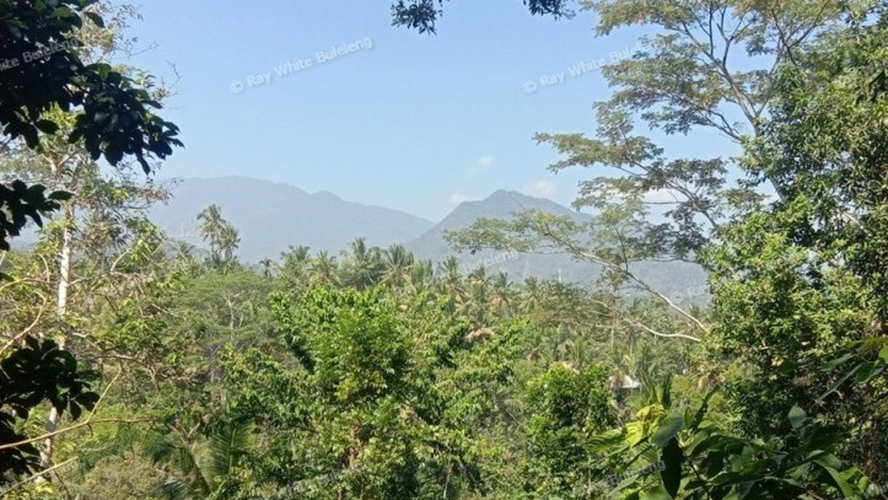 HILL VIEW LAND