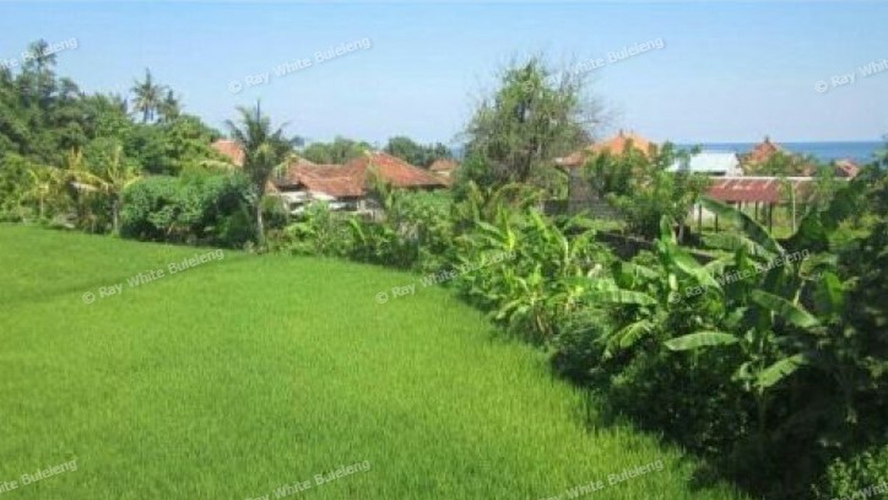 HOTEL FOR SALE!