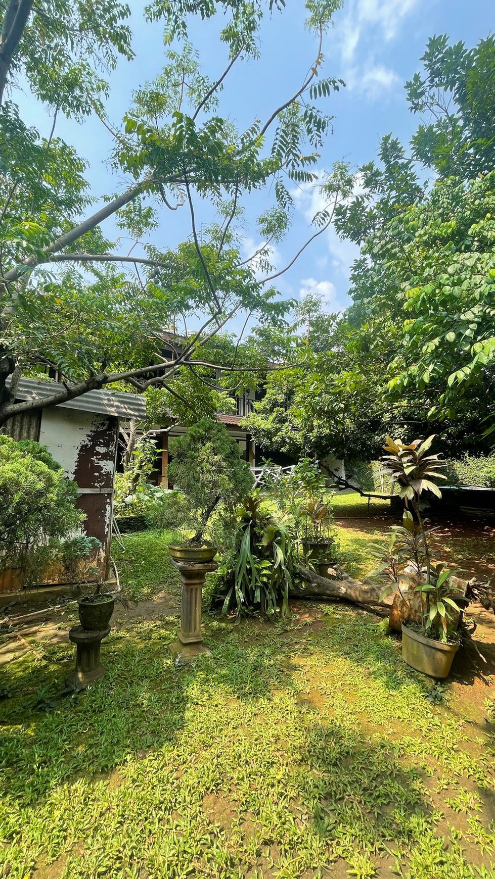Dijual Rumah Nyaman dan Asri di Kebayoran Baru, Jakarta Selatan