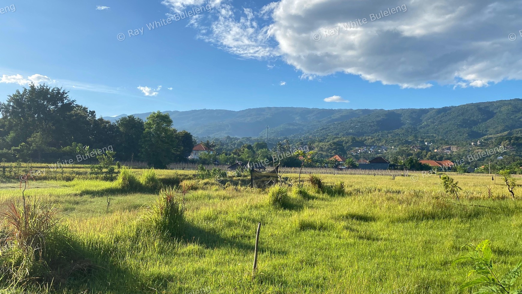 Prime Land in Lovina - With Rice Field & Mountain Views