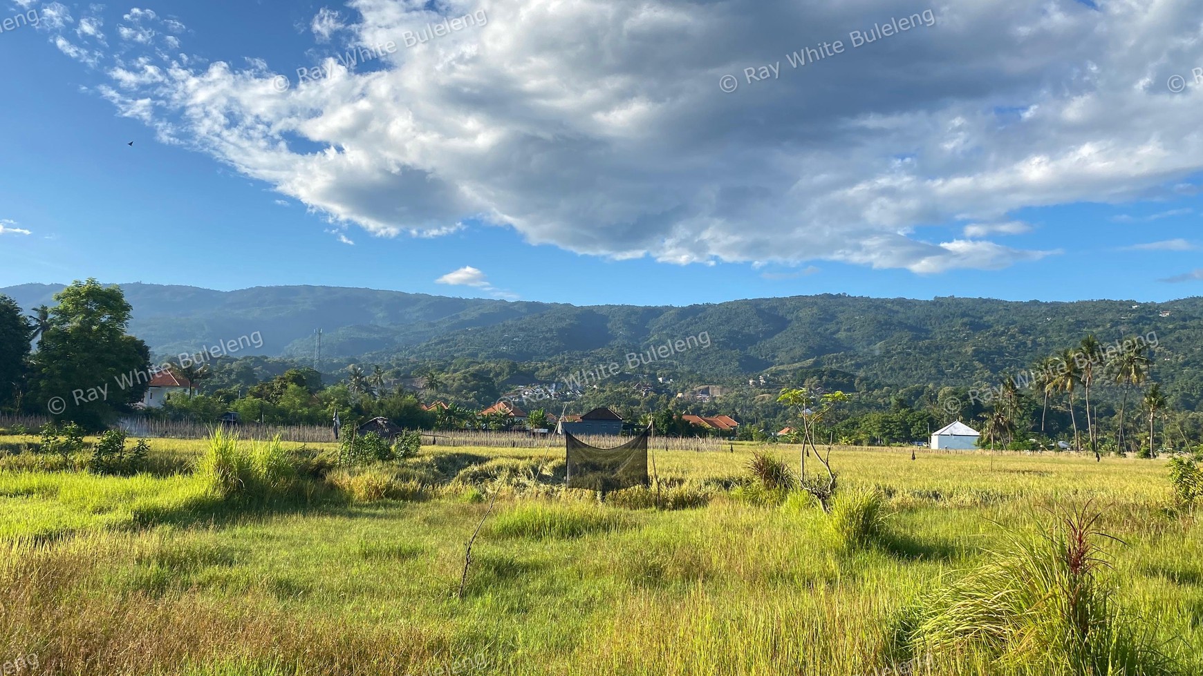 Prime Land in Lovina - With Rice Field & Mountain Views
