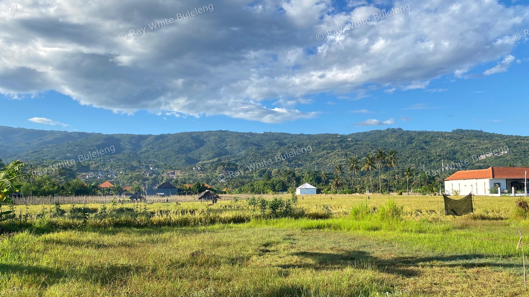 Prime Land in Lovina - With Rice Field & Mountain Views