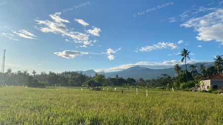 Scenic Land With Rice Field & Mountain Views