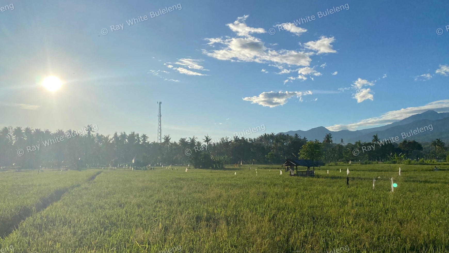 Scenic Land With Rice Field & Mountain Views