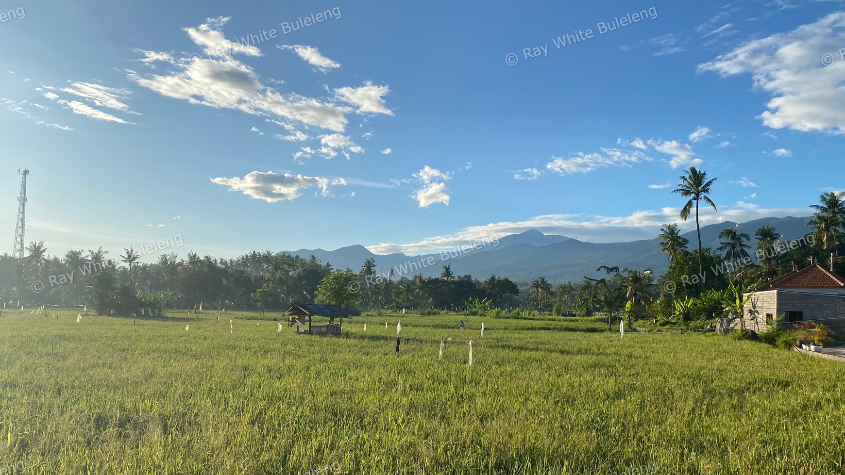 Scenic Land With Rice Field & Mountain Views
