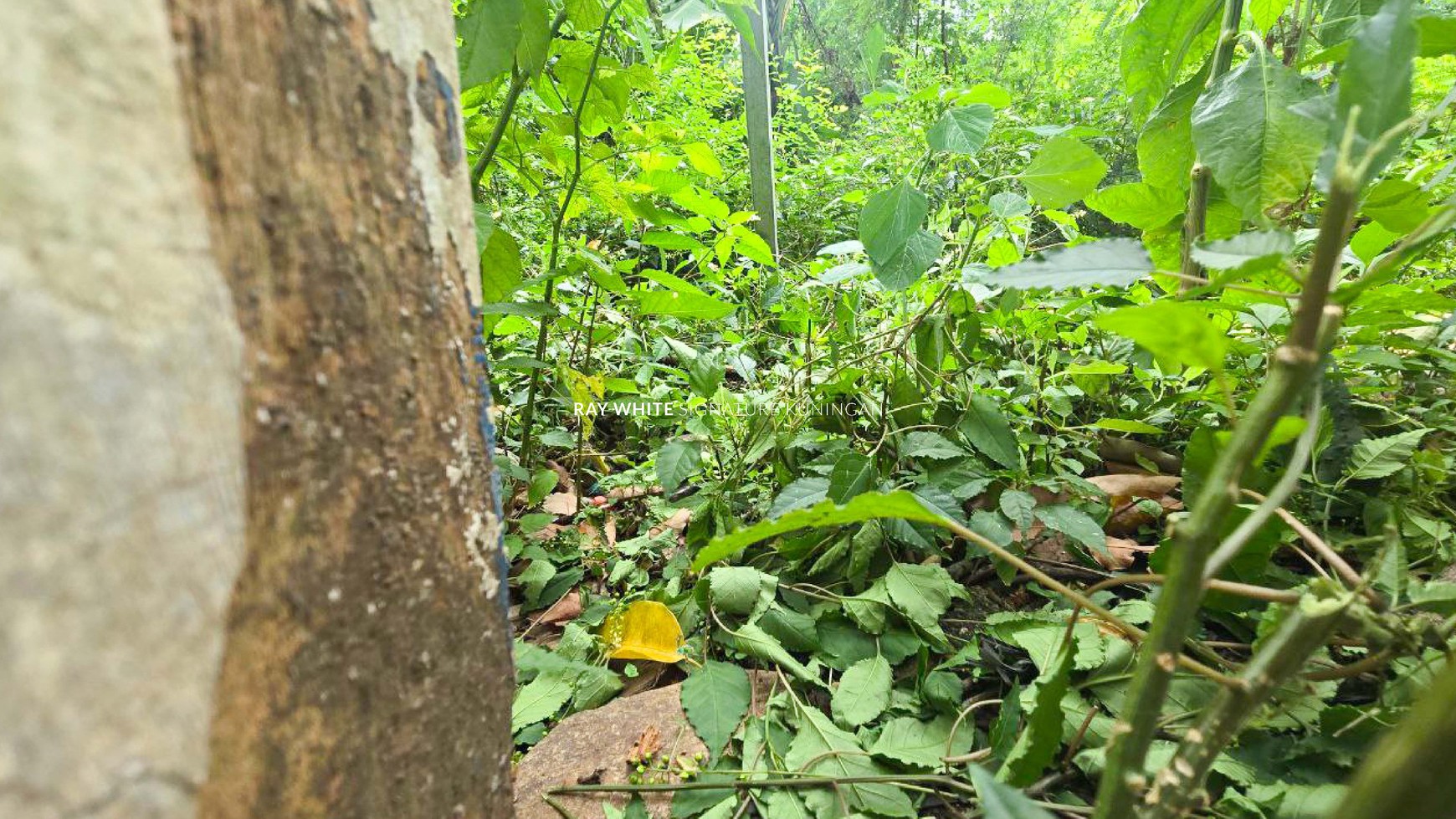 Jual Tanah Komersial Cocok Untuk Bisnis di Jalan Mampang Prapatan Raya
