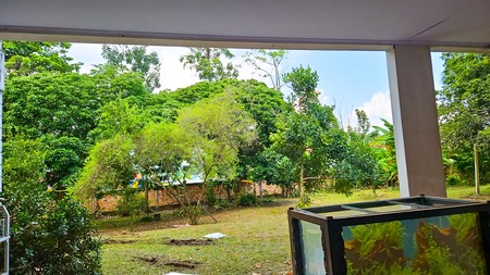 RUMAH KLASIK HALAMAN LUAS DI PAAL LIMA, KOTA BARU, JAMBI COCOK UNTUK HOTEL, CLUSTER, RESTORAN / CAFE, GEDUNG KANTOR