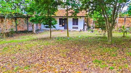 RUMAH KLASIK HALAMAN LUAS DI PAAL LIMA, KOTA BARU, JAMBI COCOK UNTUK HOTEL, CLUSTER, RESTORAN / CAFE, GEDUNG KANTOR