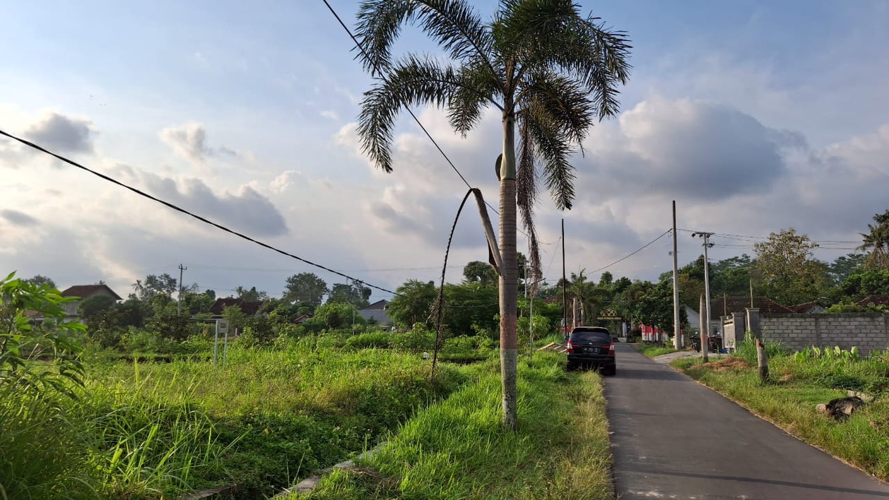 Tanah Luas 774 Meter Persegi Lokasi Krandon Wedomartani Sleman 