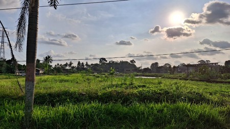 Tanah Luas 774 Meter Persegi Lokasi Krandon Wedomartani Sleman 