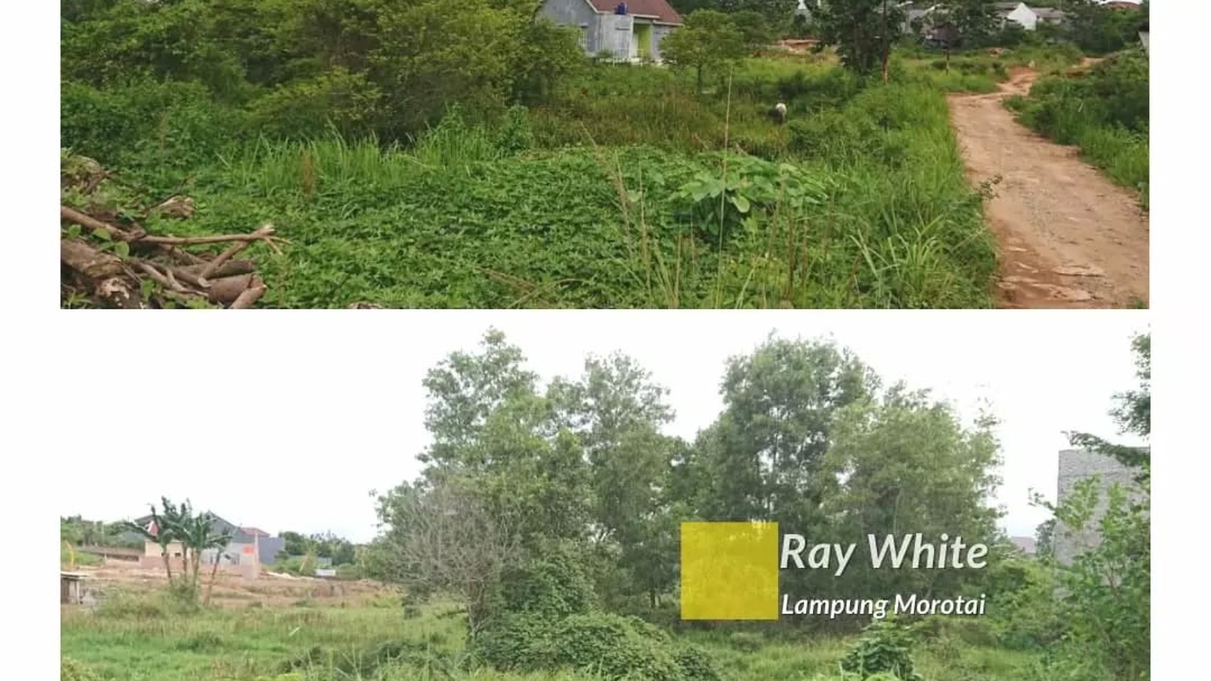 Dijual Tanah 2 hektar di Rajabasa Raya