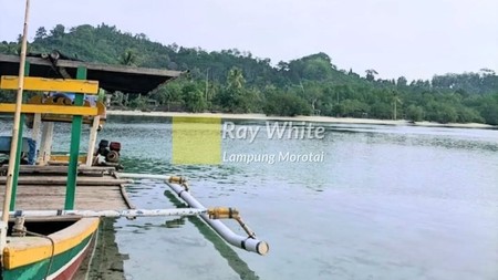 Dijuak Pantai Luas 2 hektar di Padang Cermin