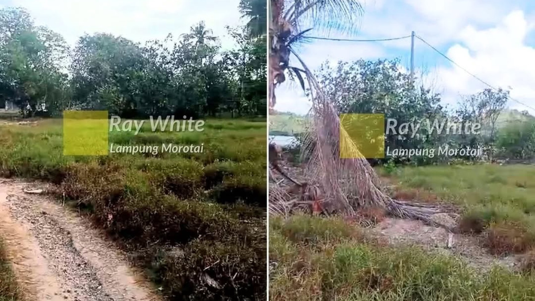 Dijuak Pantai Luas 2 hektar di Padang Cermin