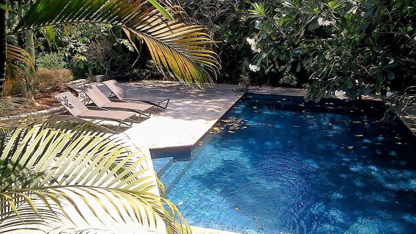 Rumah Kemang Barat Lux, Pool, Tenang