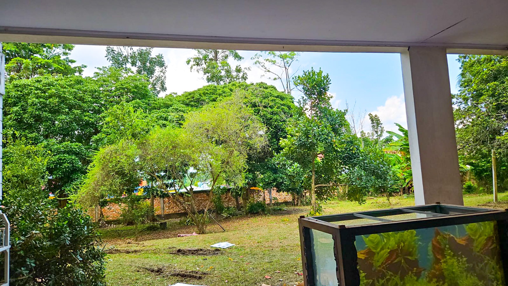 RUMAH KLASIK HALAMAN LUAS DI PAAL LIMA, KOTA BARU, JAMBI