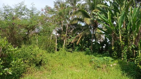 Tanah Sawah 1685 Meter Persegi Lokasi Dekat Kampus 2 Muhammadiyah Magelang