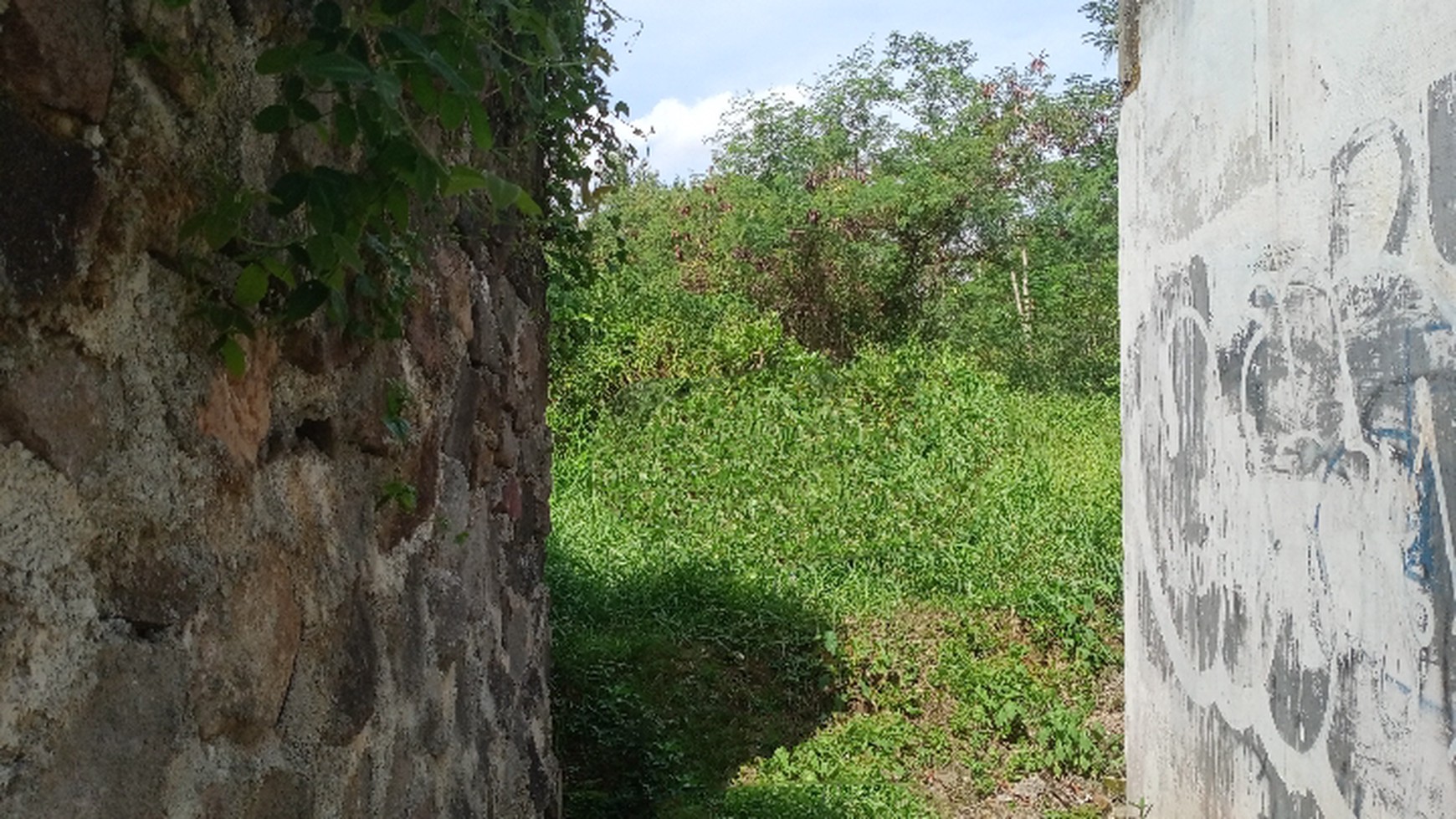 Tanah Sawah 1685 Meter Persegi Lokasi Dekat Kampus 2 Muhammadiyah Magelang