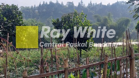 Tanah Kavling Ciumbuleuit Bandung