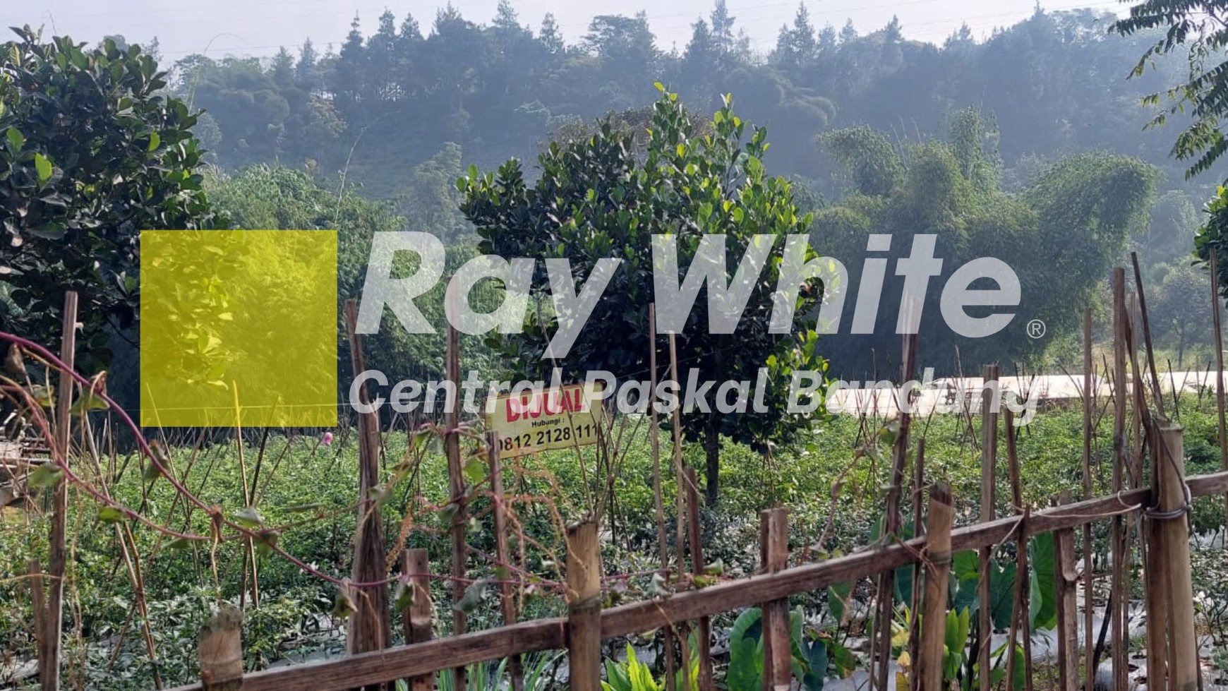 Tanah Kavling Ciumbuleuit Bandung