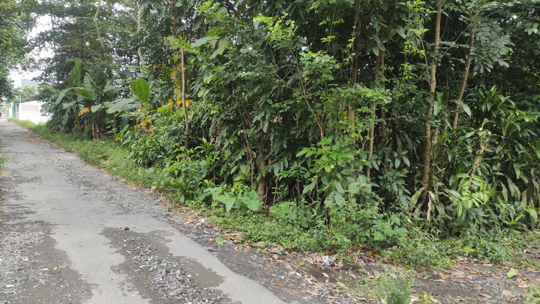 Tanah Luas 1102 Meter Persegi Lokasi  Dekat Kampus UII Terpadu 