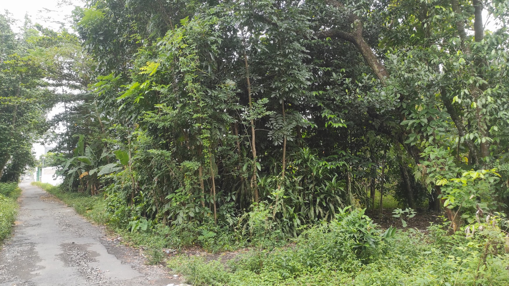 Tanah Luas 1102 Meter Persegi Lokasi  Dekat Kampus UII Terpadu 