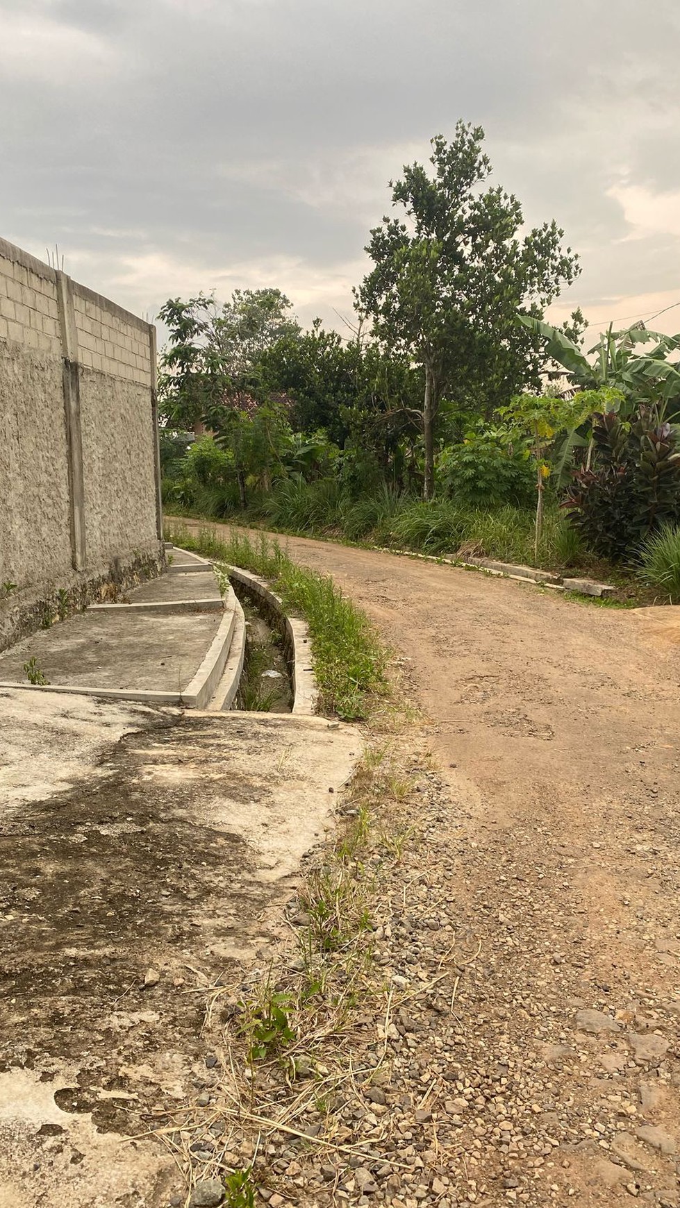 rumah luas di metro lampung