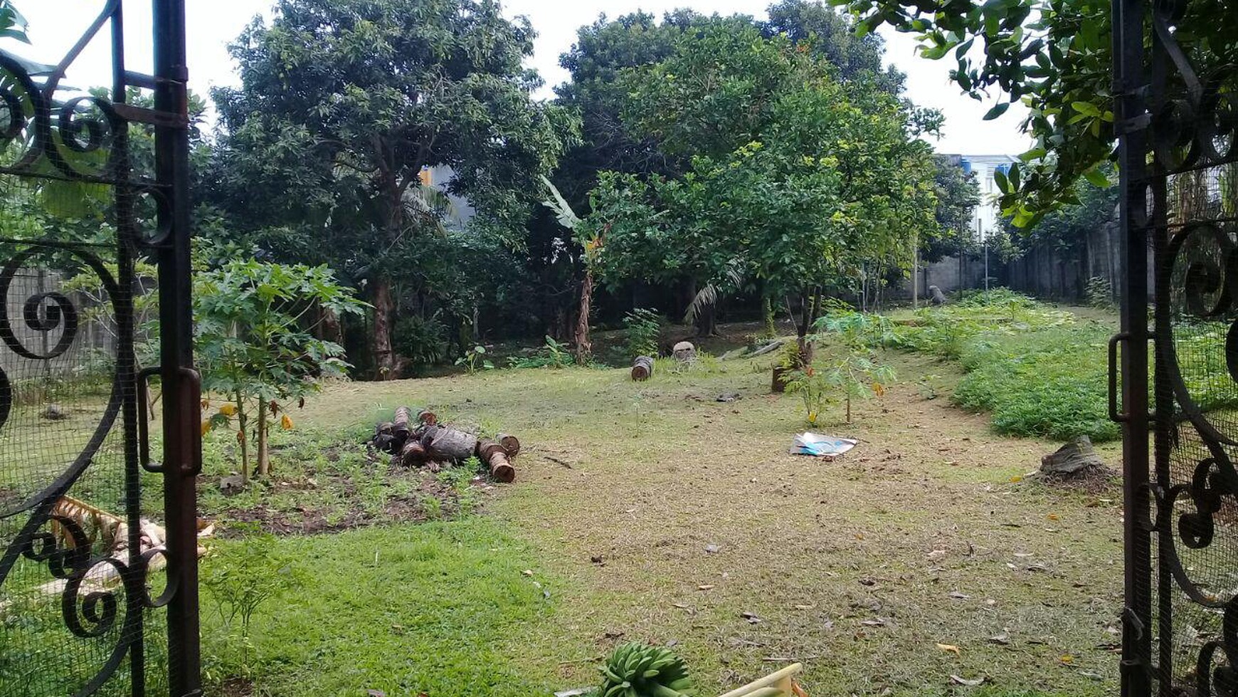 Tanah Cocok Untuk Developer di Cinere, Dekat Mall & Golf Club