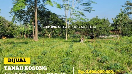 Tanah Jalan Kogop Natar Lampung