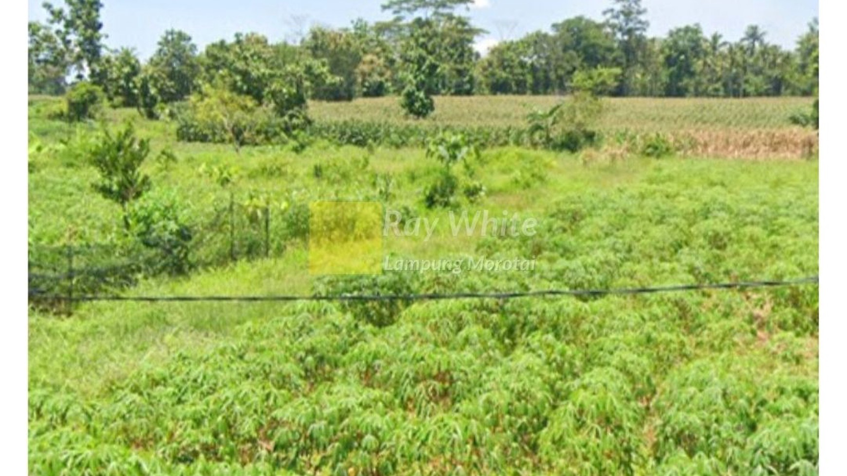 Tanah Murah Lokasi Natar Luas 570 meter Lampung