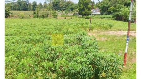 Tanah Luas 265 Meter Natar Lampung Selatan