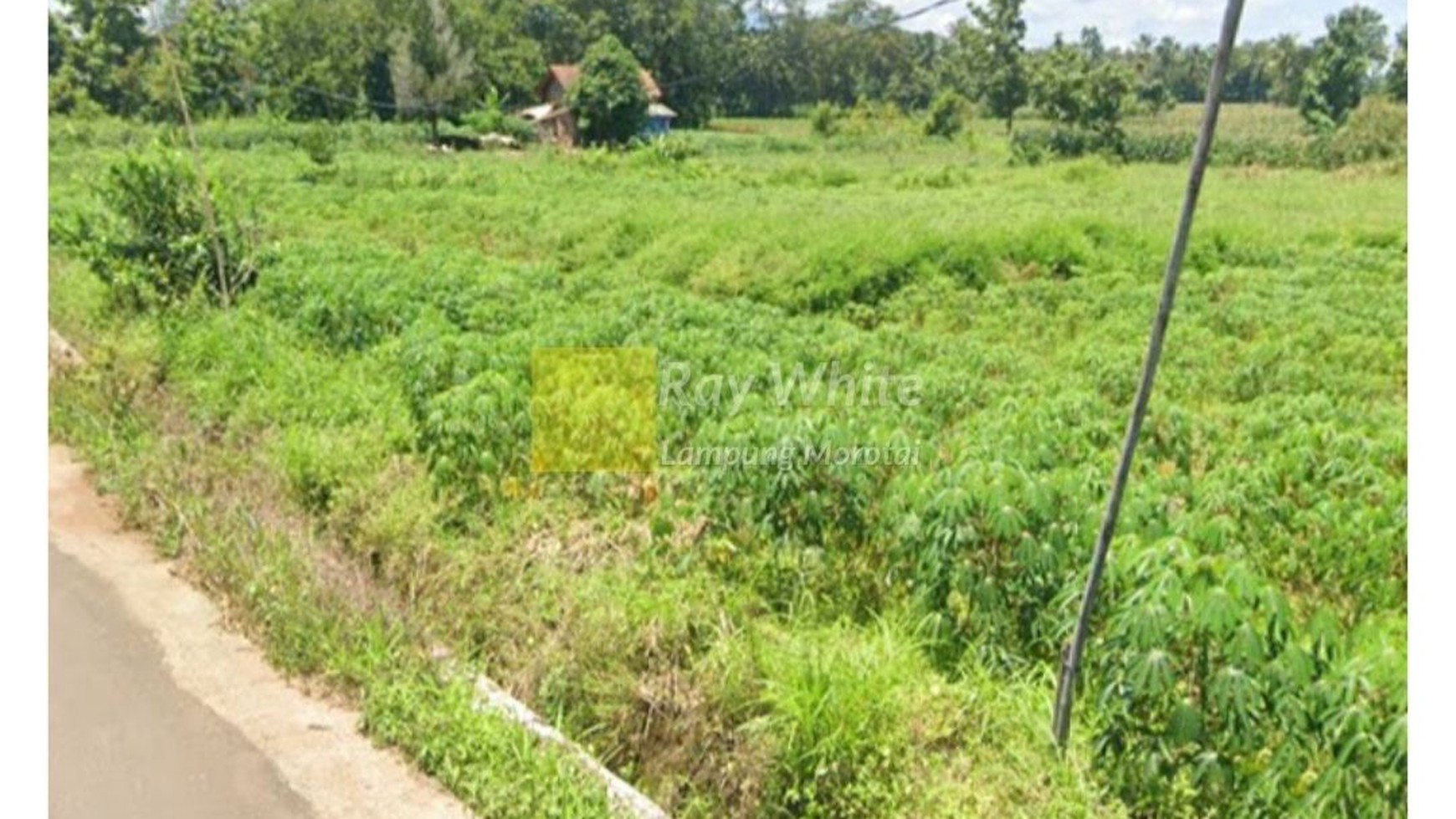 Tanah Luas 265 Meter Natar Lampung Selatan