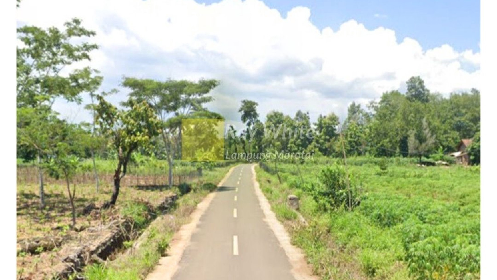 Tanah Luas 265 Meter Natar Lampung Selatan