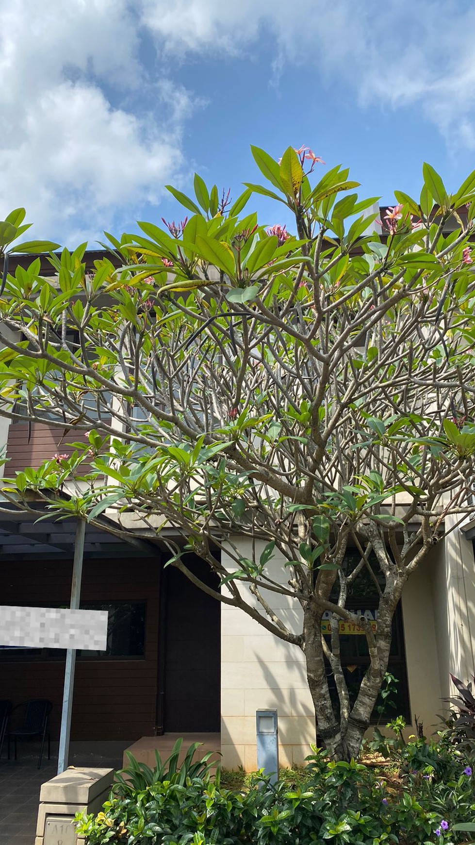 Rumah Bagus Di Cluster Askara Vanya Park BSD Tangerang Selatan