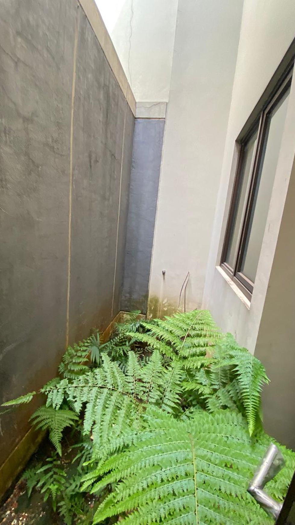 Rumah Bagus Di Cluster Askara Vanya Park BSD Tangerang Selatan