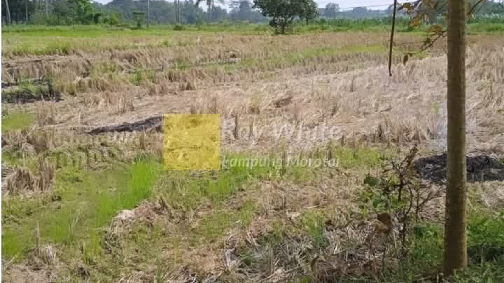Dijual tanah di  Jati Agung Lampung Selatan