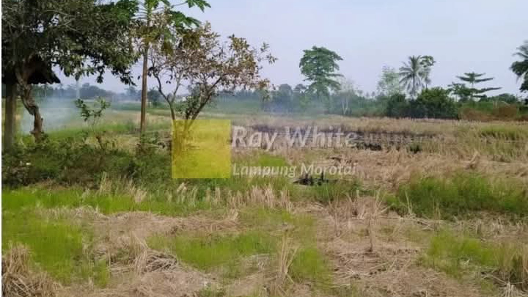 Dijual tanah di  Jati Agung Lampung Selatan