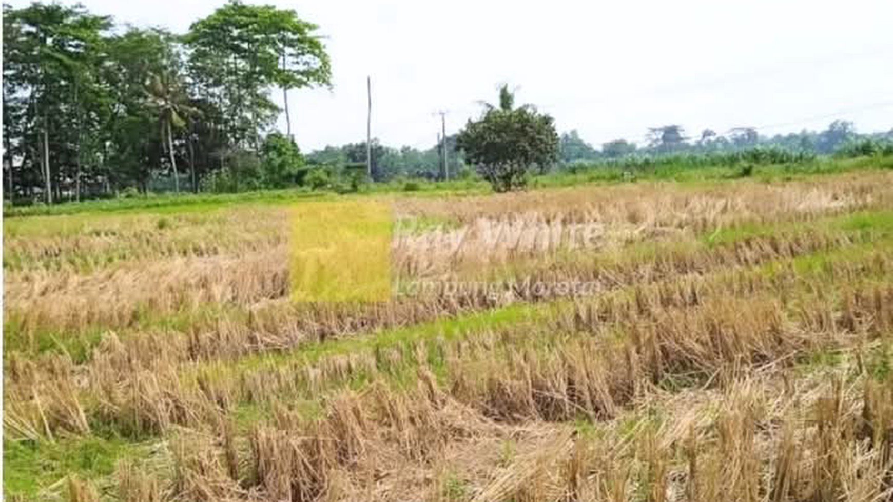 Dijual tanah di  Jati Agung Lampung Selatan