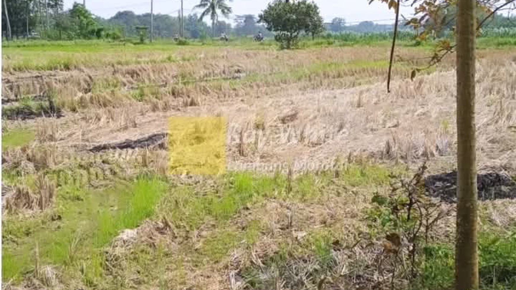 Dijual tanah di  Jati Agung Lampung Selatan