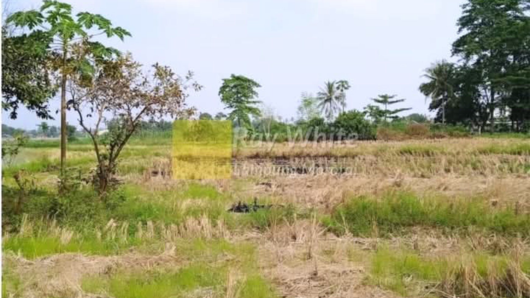 Dijual tanah di  Jati Agung Lampung Selatan